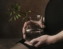 New Life New Life